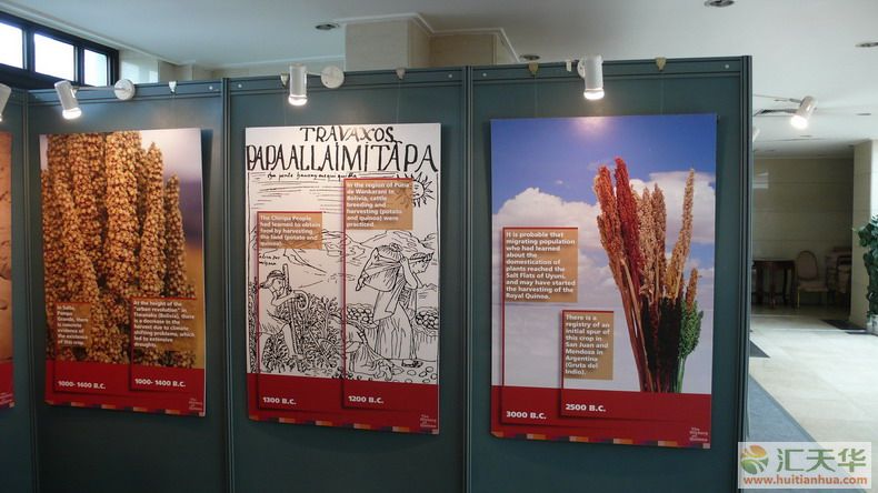 北京玻利维亚大使馆藜麦展及推广活动(图28)