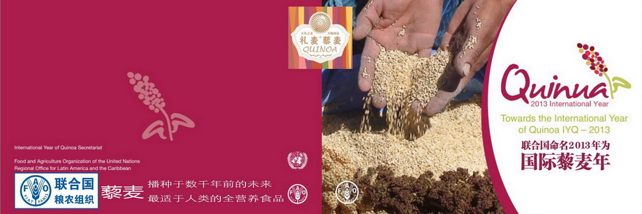 国际藜麦年目标(图1) 国际藜麦年目标(图1)