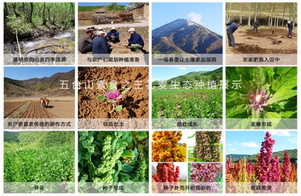 秘鲁高原藜麦上半年出口7400万美元,同比增长(图1) 秘鲁高原藜麦上半年出口7400万美元,同比增长(图1)